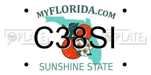 C38SI Florida License Plate