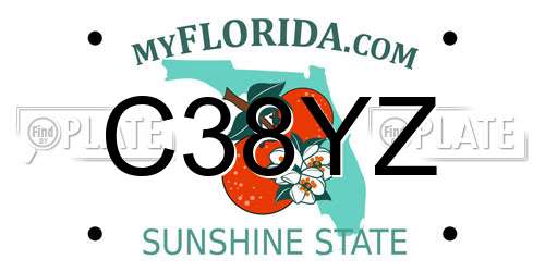 C38YZ Florida License Plate
