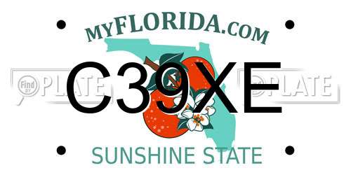C39XE Florida License Plate