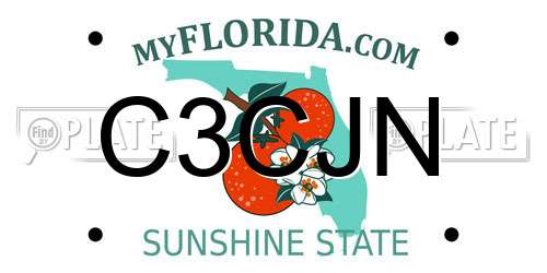 C3CJN Florida License Plate