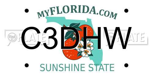 C3DHW Florida License Plate