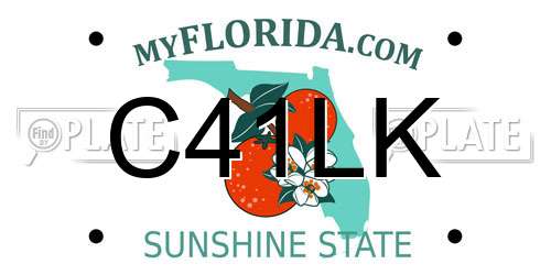 C41LK Florida License Plate