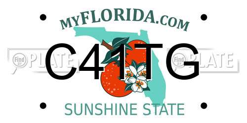 C41TG Florida License Plate