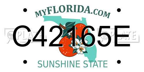 C42165E Florida License Plate