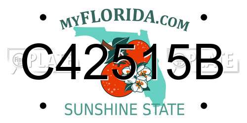 C42515B Florida License Plate