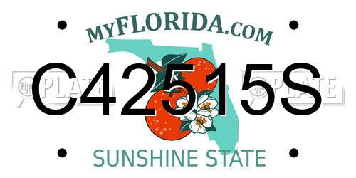 C42515S Florida License Plate