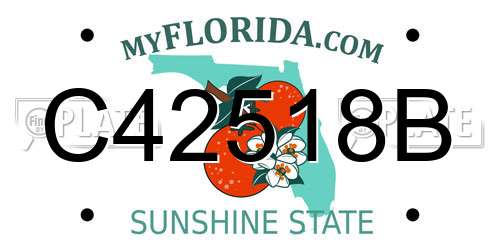 C42518B Florida License Plate