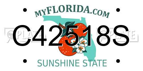 C42518S Florida License Plate