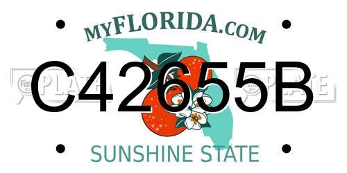 C42655B Florida License Plate