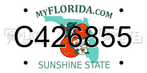 C426855 Florida License Plate