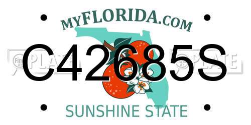 C42685S Florida License Plate