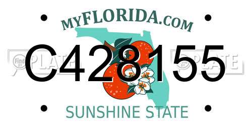 C428155 Florida License Plate