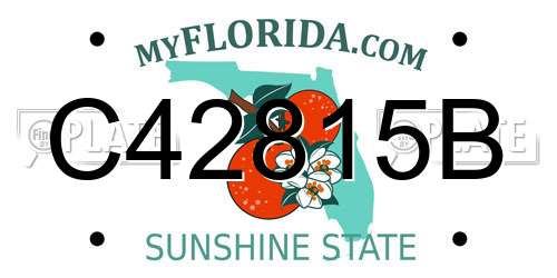 C42815B Florida License Plate