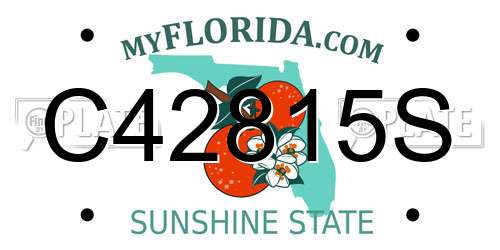 C42815S Florida License Plate