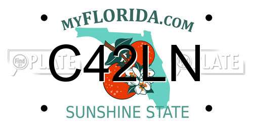 C42LN Florida License Plate