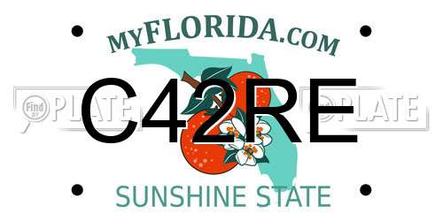 C42RE Florida License Plate