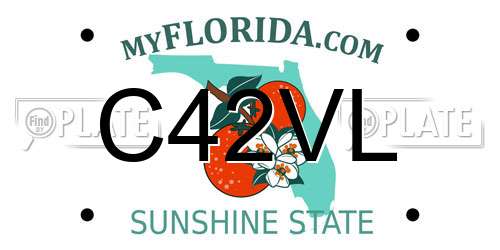 C42VL Florida License Plate