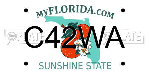 C42WA Florida License Plate