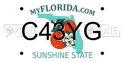 C43YG Florida License Plate