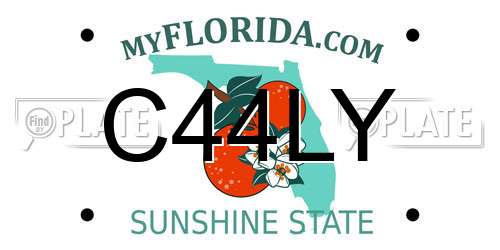 C44LY Florida License Plate