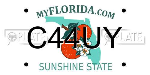 C44UY Florida License Plate