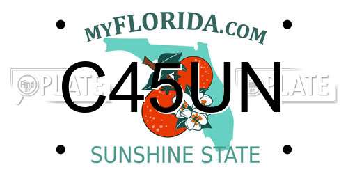 C45UN Florida License Plate
