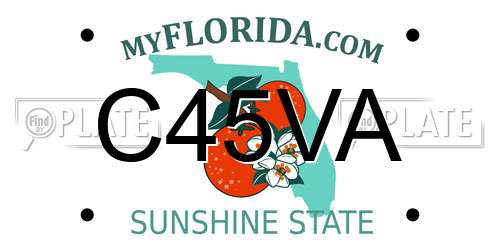 C45VA Florida License Plate