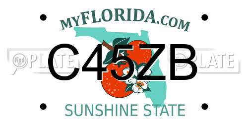 C45ZB Florida License Plate