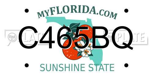 C465BQ Florida License Plate