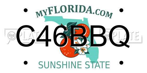 C46BBQ Florida License Plate