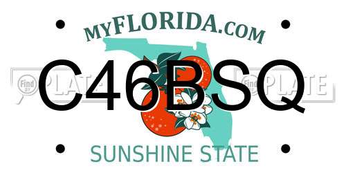 C46BSQ Florida License Plate
