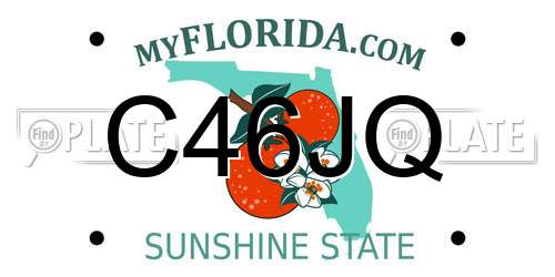 C46JQ Florida License Plate