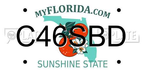 C46SBD Florida License Plate
