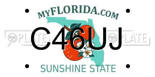 C46UJ Florida License Plate