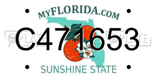 C471653 Florida License Plate
