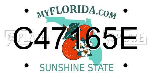C47165E Florida License Plate