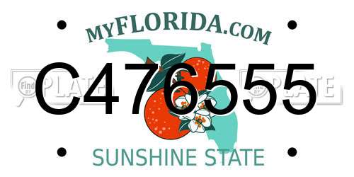 C476555 Florida License Plate
