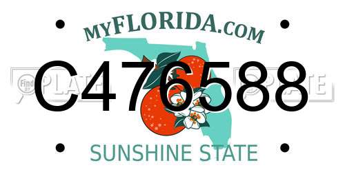 C476588 Florida License Plate