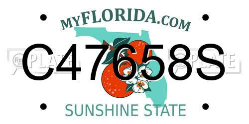 C47658S Florida License Plate