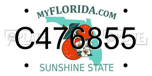C476855 Florida License Plate
