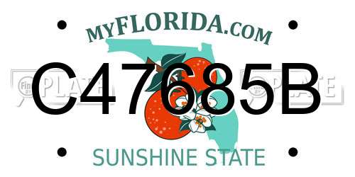 C47685B Florida License Plate