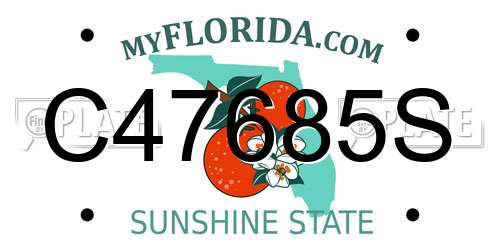 C47685S Florida License Plate