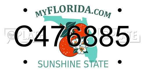 C476885 Florida License Plate