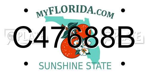 C47688B Florida License Plate