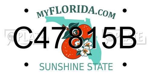 C47815B Florida License Plate