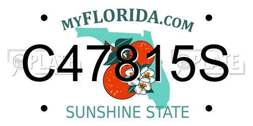 C47815S Florida License Plate