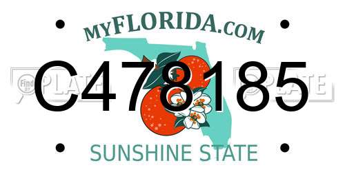 C478185 Florida License Plate