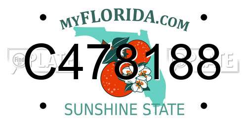 C478188 Florida License Plate