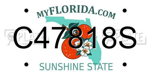 C47818S Florida License Plate