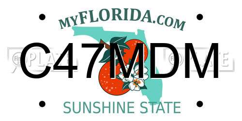C47MDM Florida License Plate